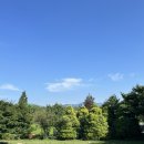 하얀그림정원 풀빌라 이미지