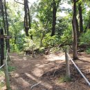 상갈초등학교 이미지