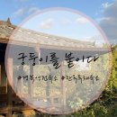 궁붙