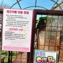 니멍내멍 | [남양주/수석동] 다산동 가까운곳에 야외정원 운동장 애견카페 “니멍내멍”후기