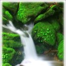 박지산 티스토리