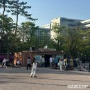 여의도공원인라인대여소 이미지