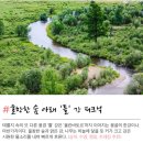#[몽골여행] 초원의 오아시스 낭만 투울강 散步[산보].............12 이미지