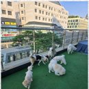 호텔아이 이미지