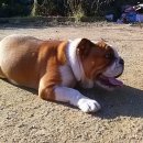 구름정원펜션 이미지