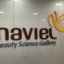 나비엘갤러리 이미지