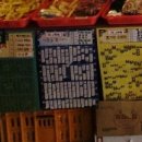 바른뽑기생활 이미지