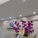 애플치과기공소 이미지