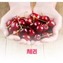 푸릇상회 이미지