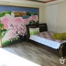 솔까치펜션 이미지