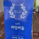 허밍버들 이미지