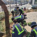 꽃향기가득한 이미지