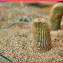 산중식당 이미지