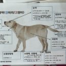 분당햇살약국 이미지