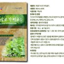 (주)대은바이오 이미지