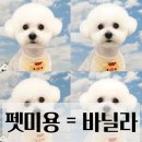 바닐라애견미용학원 이미지