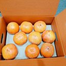 도겸농장 이미지