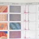 홈오피니언칼럼/기고 춘향 영정 토론회를 마치고, 강동원, 송화자 토론자의 질문에 대한 답변 이미지