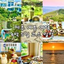동화속으로 여행가요 | 제주 여행 4박 5일 일정 코스 추천 총정리