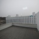 205커피와로또