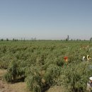 이유농장 이미지