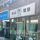 지나댕댕 이미지