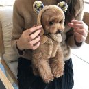 오구오구