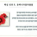 방영학 이미지