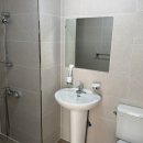 스테이하몽 이미지