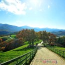 둘레목장 이미지