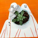 캔아트 이미지