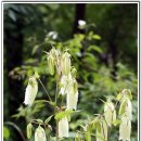 강원도자연환경연구공원 이미지