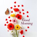 선물같은 하루 이미지