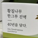 수망912 | 수망912 40년 제주 황칠나무진액 부모님선물