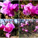 은혜병원 이미지