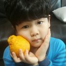 은영농장 이미지