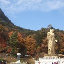 속리산 - 성남시 중원구 시민로117번길 2 | 속리산