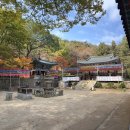 청명건설 | 청명한 가을날, 관악산 단풍산행 후기