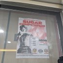 슈가복싱 프리미엄 이미지