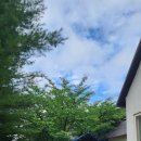 스텔라빌리지 이미지