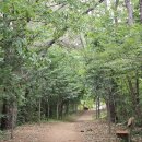 도심건강길 1길 이미지