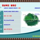 청량산쉼터민박 이미지