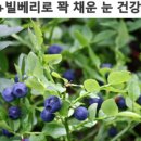 대화건강약국 이미지