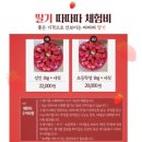 가덕농장 | [경남 가볼만한 곳] 김해 창원 밀양 근교 딸기체험농장 딸기 따따따 방문후기