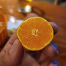 동해숯불장어 이미지