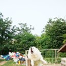 해피월드종이학 이미지