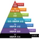 2023 테니스 디비전 리그(T7) 이미지