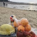 제2죽림농장 | 여수죽림 과일 맛집 24시 제철과일 맛집 추천 블루웨일더후르츠여수죽림점