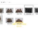 엘사진관 네이버블로그