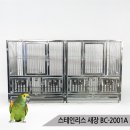 케이지